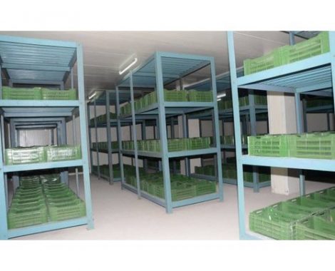 banana-cold-storage-starpebindia